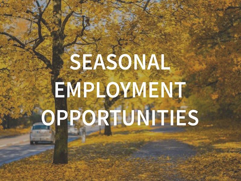 Best Seasonal Employment Opportunities to Make Extra Money